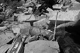 burnt down house 1_011